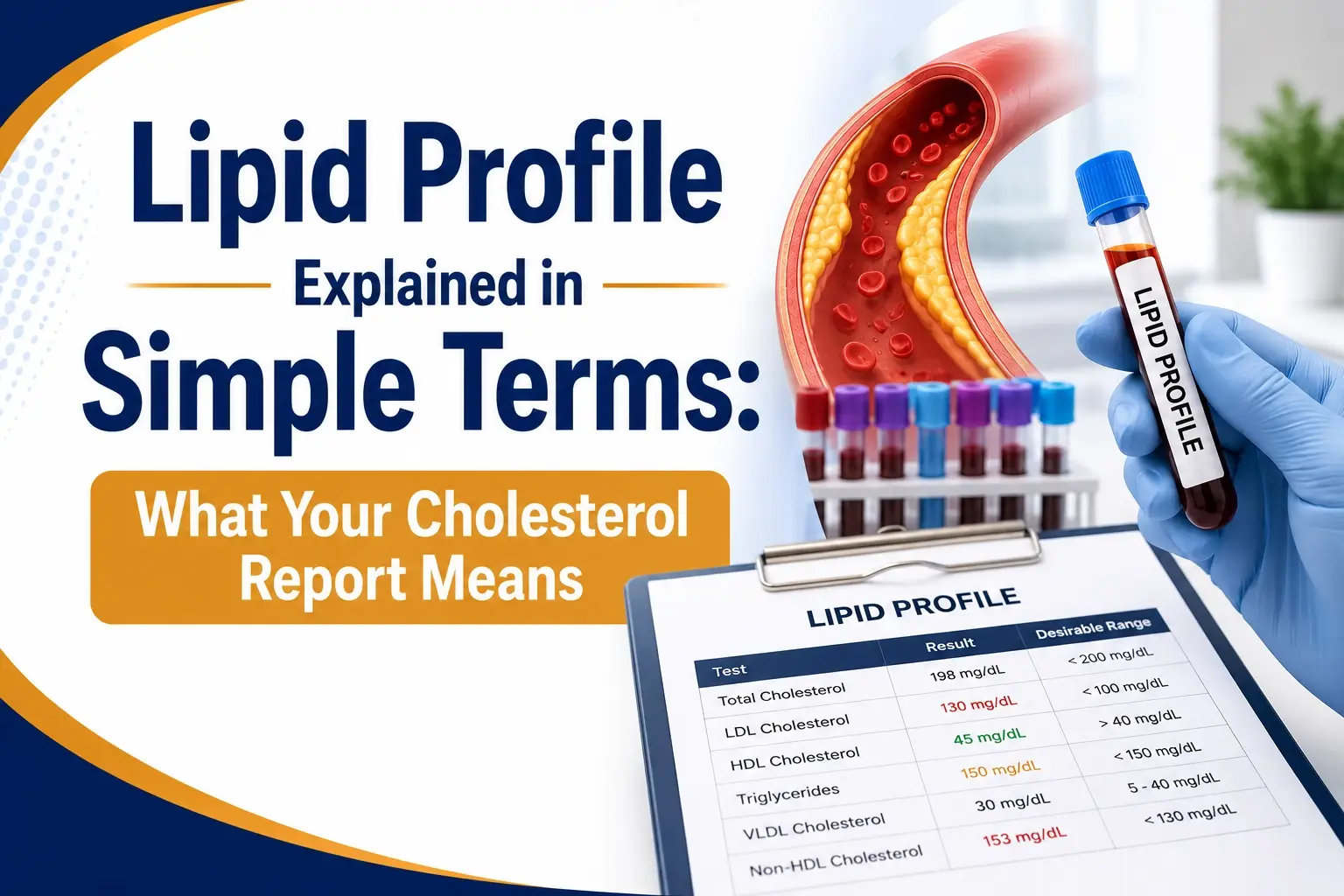 Lipid Profile Explained in Simple Terms: What Your Cholesterol Report Means