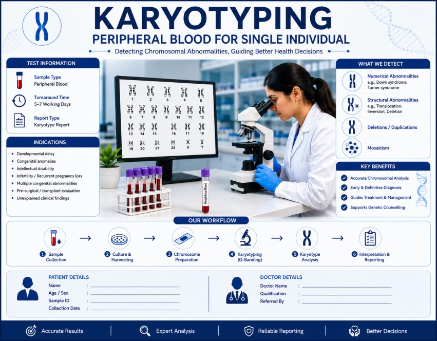 Peripheral blood karyotyping showing chromosome analysis for genetic disorders, infertility evaluation, and chromosomal abnormality detection