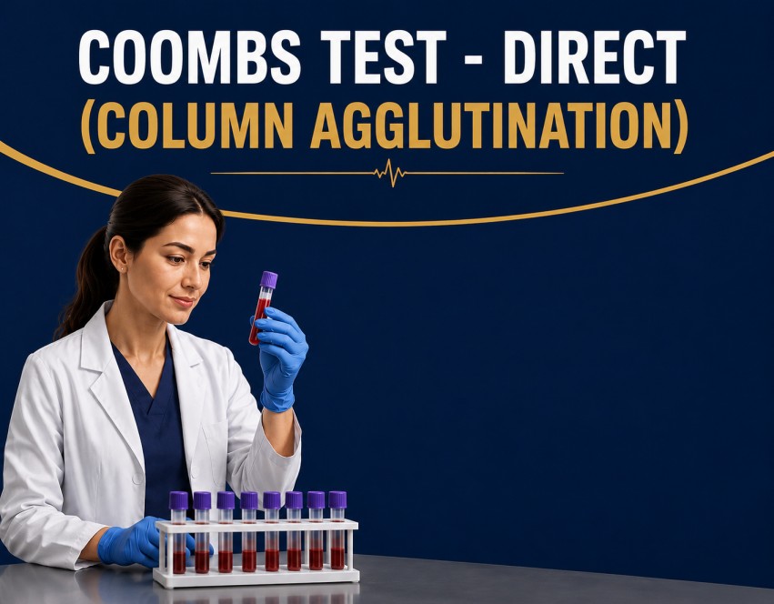 Direct Coombs test column agglutination method detecting antibodies on red blood cells for hemolytic anemia diagnosis