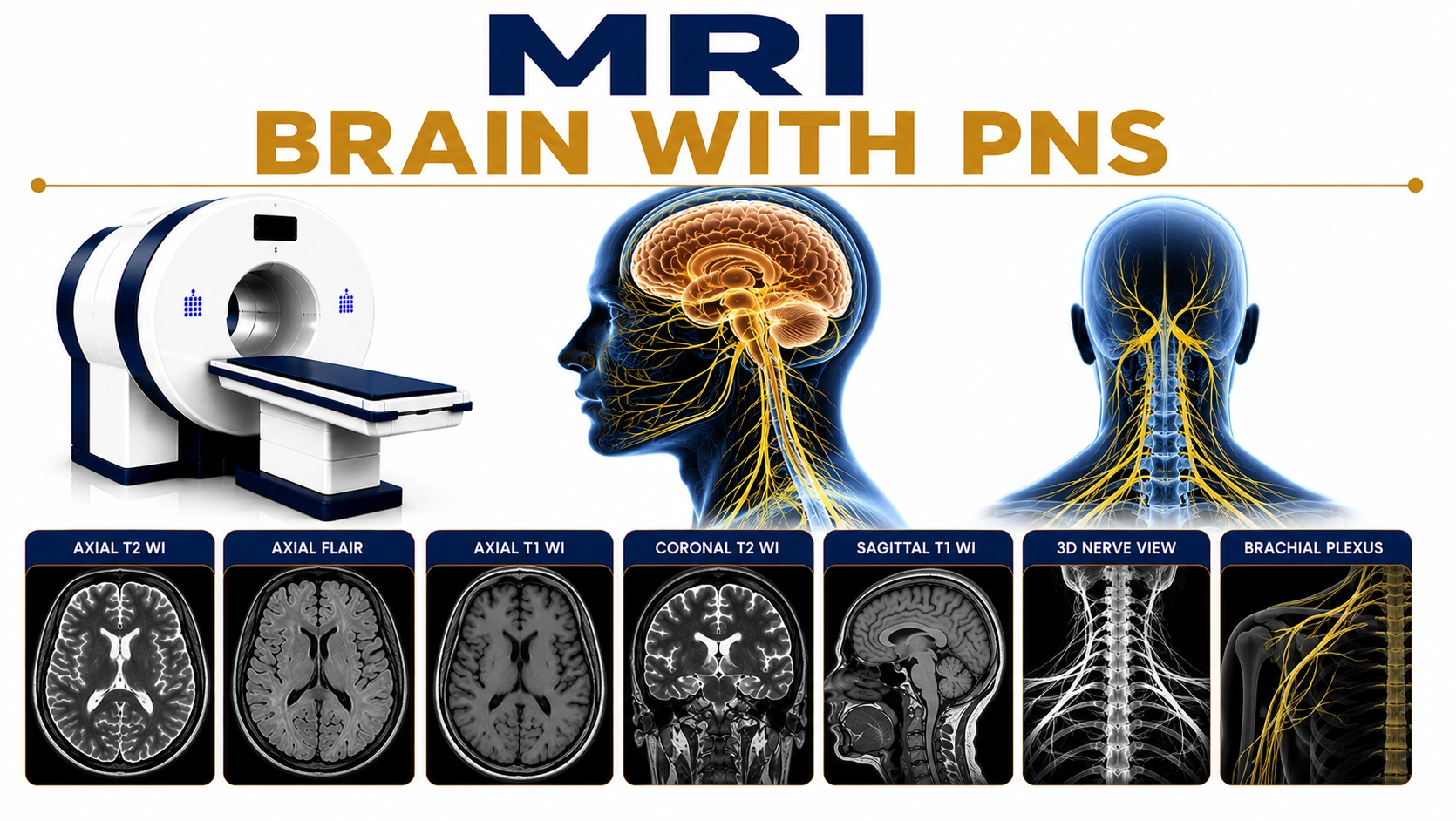 MRI Brain with PNS scan at Focus Diagnostics showing detailed imaging of the brain, paranasal sinuses, nasal cavity, and surrounding head structures