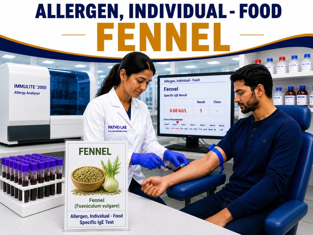 Fennel allergy test showing specific IgE antibody analysis for fennel sensitization, spice allergy diagnosis, and food allergy evaluation