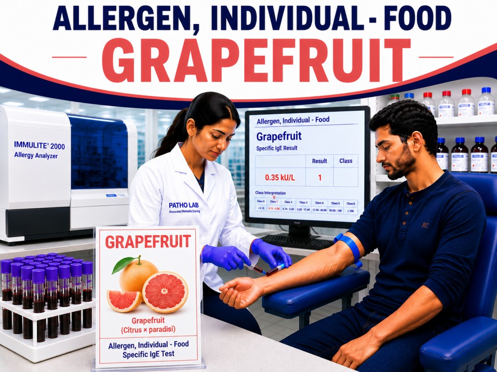 Grapefruit allergy test showing specific IgE antibody analysis for grapefruit sensitization, citrus fruit allergy diagnosis, and food allergy evaluation