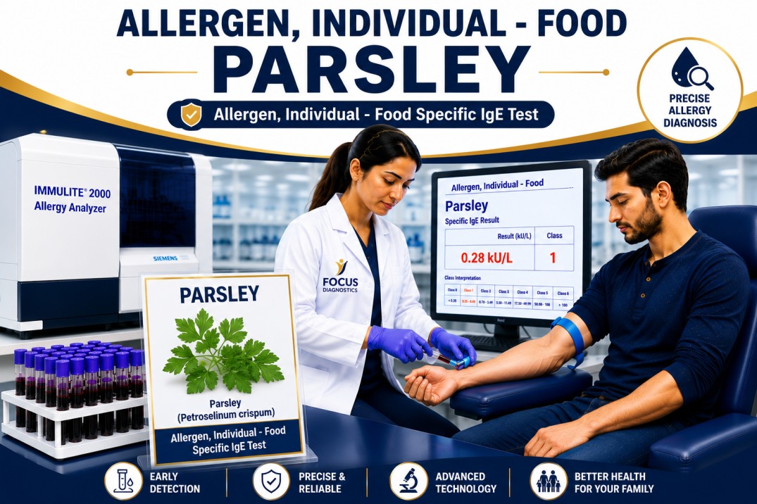 Parsley allergy test showing specific IgE antibody analysis for parsley sensitization, herb allergy diagnosis, and food allergy evaluation