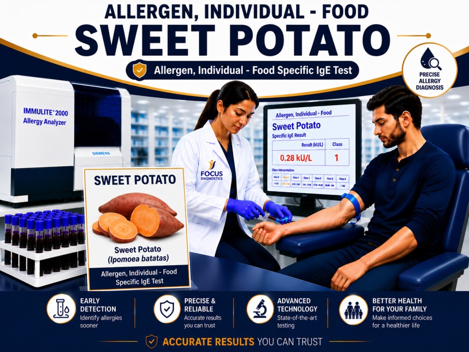 Sweet potato allergy test showing specific IgE antibody analysis for sweet potato sensitization, vegetable allergy diagnosis, and food allergy evaluation