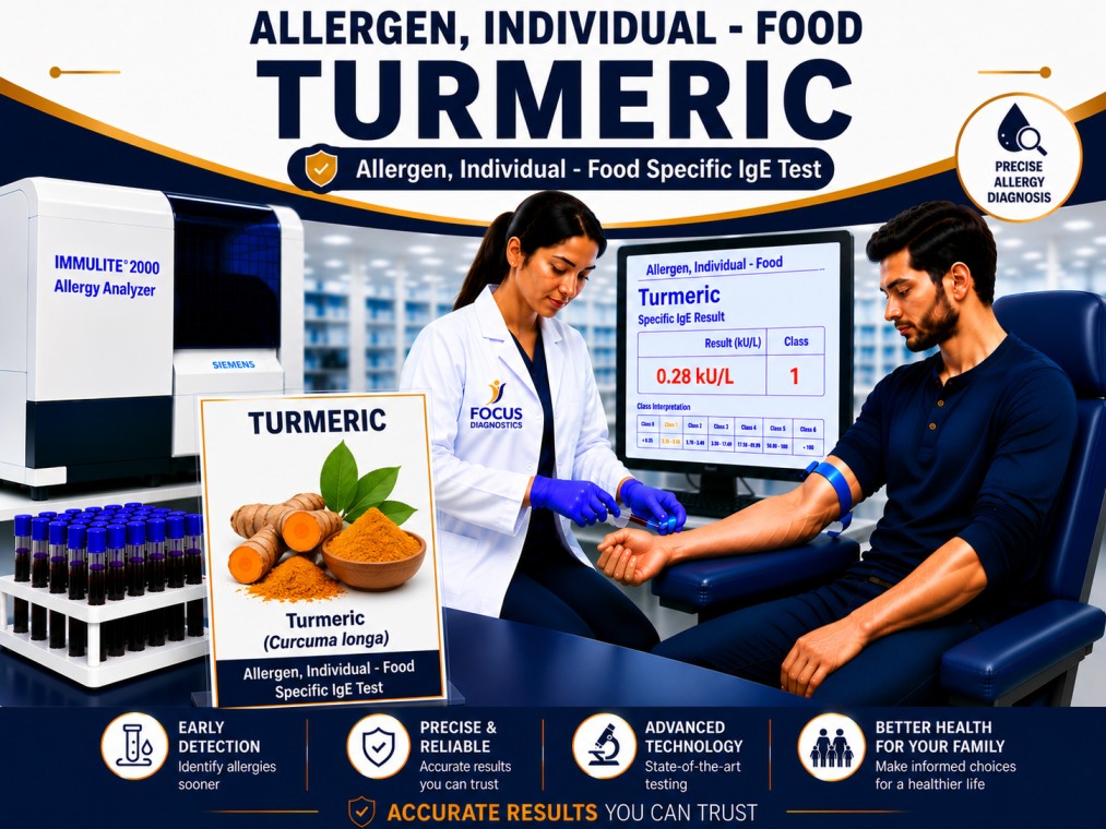 Turmeric allergy test showing specific IgE antibody analysis for turmeric sensitization, spice allergy diagnosis, and food allergy evaluation