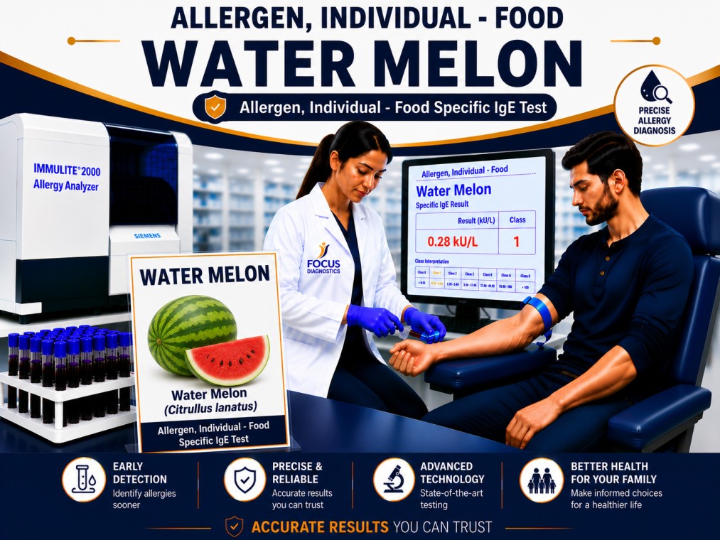 Watermelon allergy test showing specific IgE antibody analysis for watermelon sensitization, fruit allergy diagnosis, and food allergy evaluation