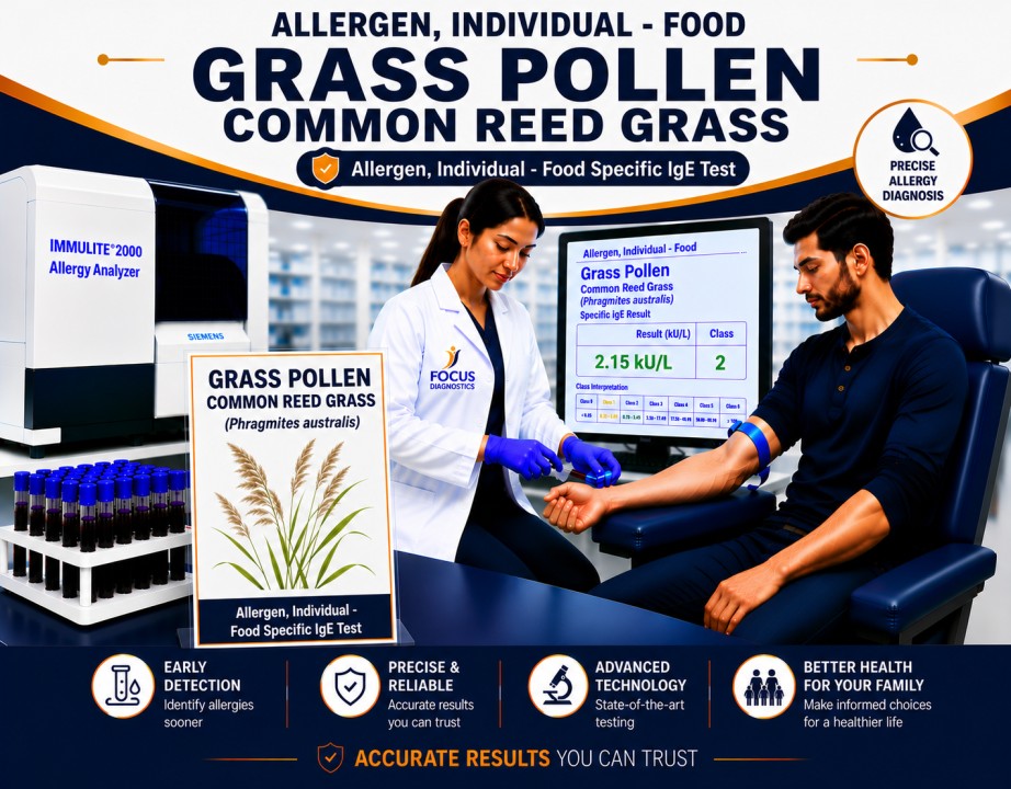 Common Reed Grass pollen allergy test showing specific IgE antibody analysis for grass pollen sensitization, hay fever diagnosis, and respiratory allergy evaluation