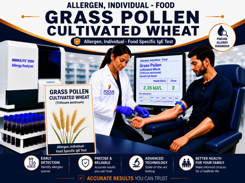 Cultivated wheat pollen allergy test showing specific IgE antibody analysis for wheat pollen sensitization, hay fever diagnosis, and respiratory allergy evaluation