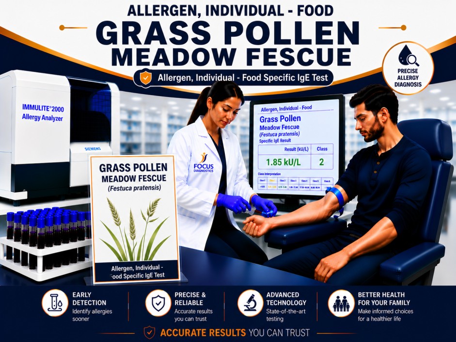 Meadow fescue pollen allergy test showing specific IgE antibody analysis for grass pollen sensitization, hay fever diagnosis, and respiratory allergy evaluation