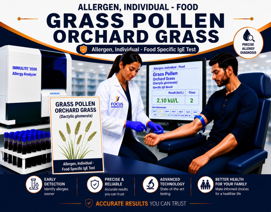 Orchard grass pollen allergy test showing specific IgE antibody analysis for grass pollen sensitization, hay fever diagnosis, and respiratory allergy evaluation