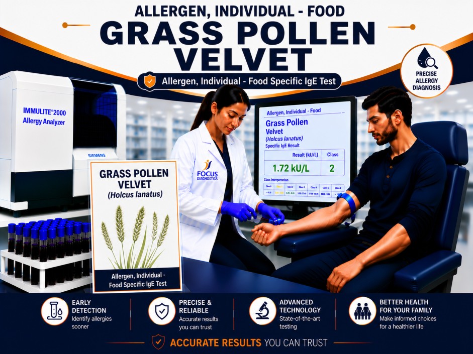Velvet grass pollen allergy test showing specific IgE antibody analysis for grass pollen sensitization, hay fever diagnosis, and respiratory allergy evaluation