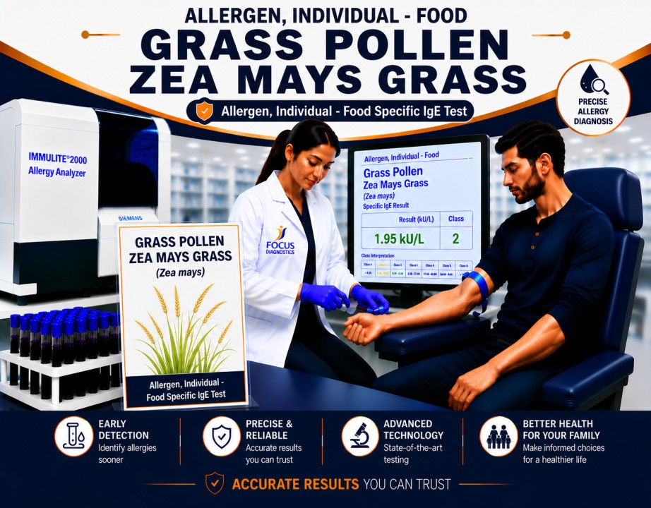 Maize pollen allergy test showing specific IgE antibody analysis for Zea mays pollen sensitization, hay fever diagnosis, and respiratory allergy evaluation