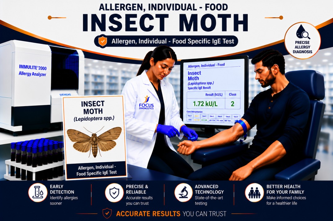 Moth allergy test showing specific IgE antibody analysis for moth allergen sensitization, respiratory allergy diagnosis, and asthma evaluation