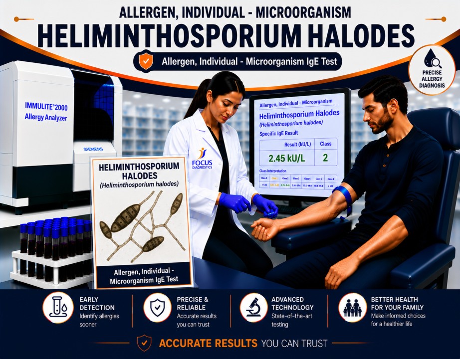 Helminthosporium mold allergy test showing specific IgE antibody analysis for fungal spore sensitization, mold allergy diagnosis, and asthma evaluation