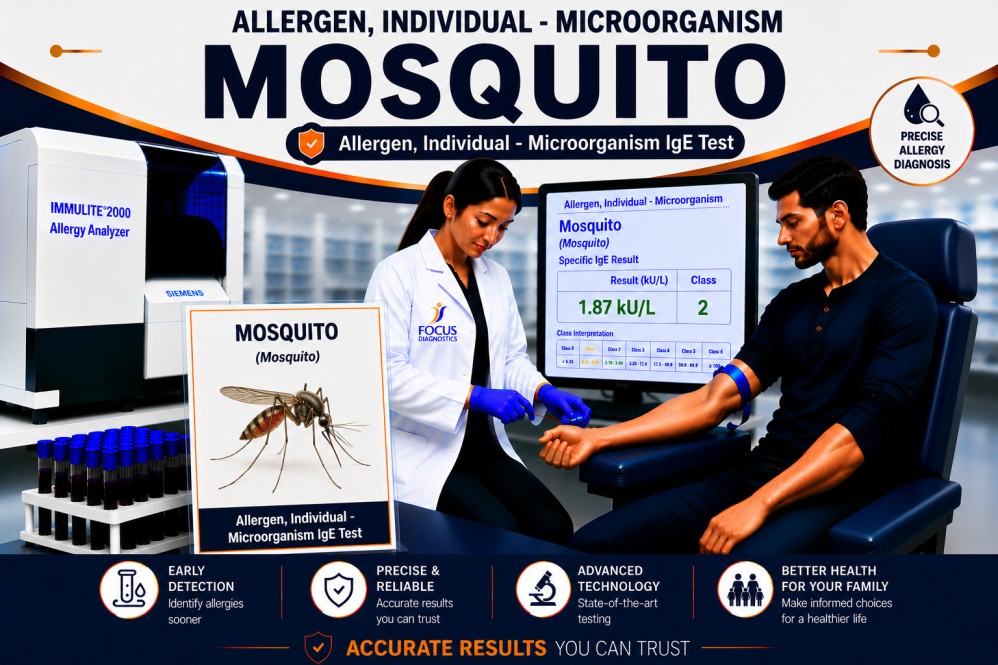 Mosquito allergy test showing specific IgE antibody analysis for mosquito bite sensitization, insect allergy diagnosis, and hypersensitivity evaluation