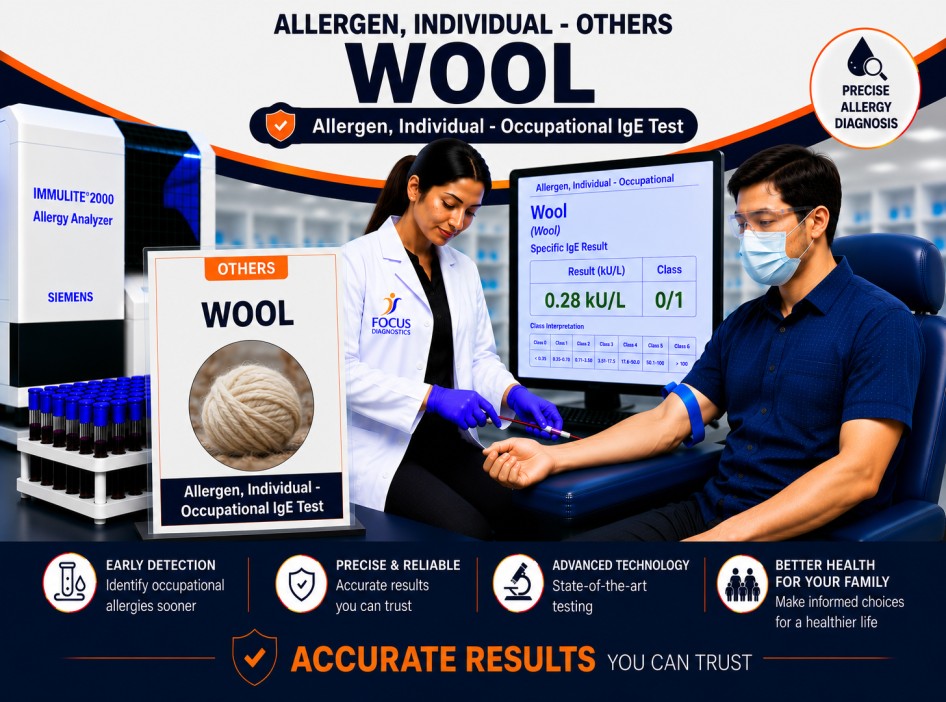 Wool allergy test showing specific IgE antibody analysis for wool sensitization, textile allergy diagnosis, and respiratory hypersensitivity evaluation