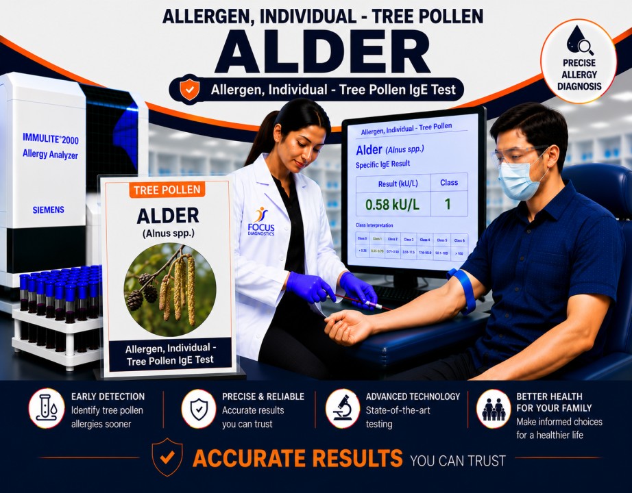 Alder tree pollen allergy test showing specific IgE antibody analysis for tree pollen sensitization, hay fever diagnosis, and respiratory allergy evaluation