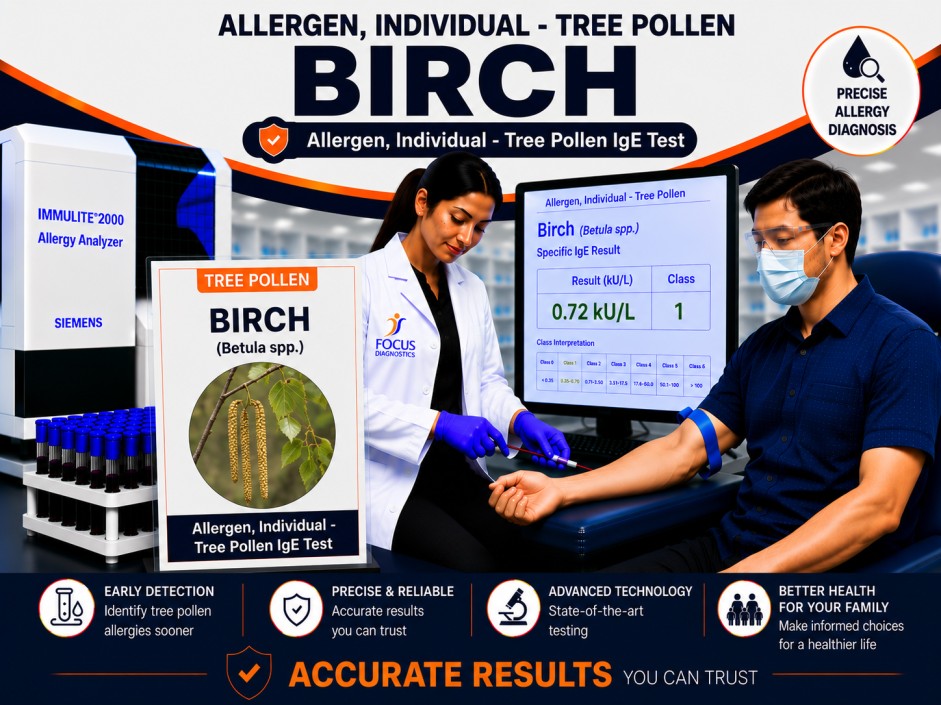 Birch tree pollen allergy test showing specific IgE antibody analysis for birch pollen sensitization, hay fever diagnosis, and respiratory allergy evaluation