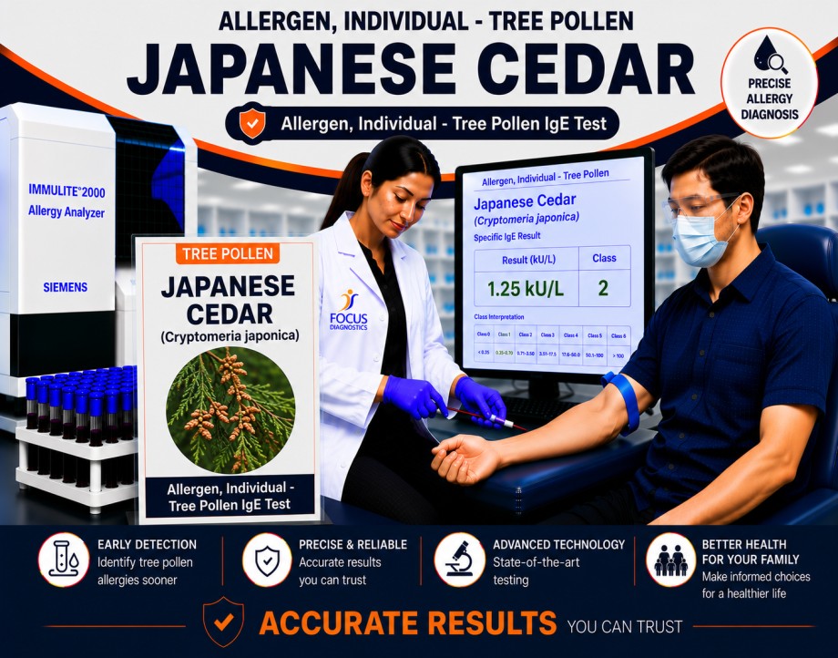 Japanese cedar pollen allergy test showing specific IgE antibody analysis for Cryptomeria japonica pollen sensitization, hay fever diagnosis, and respiratory allergy evaluation