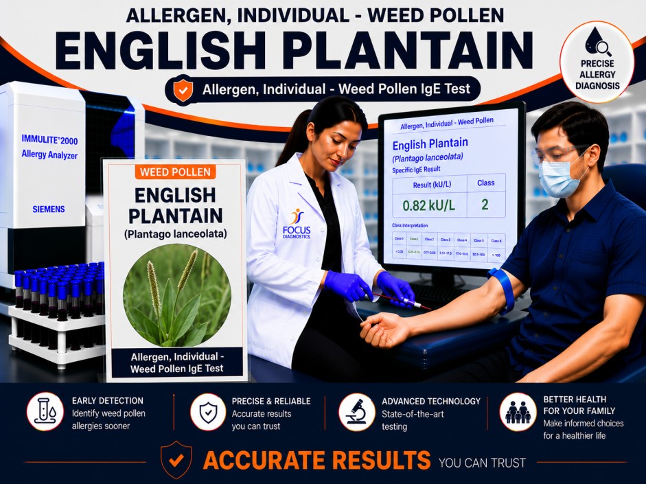 English plantain pollen allergy test showing specific IgE antibody analysis for Plantago lanceolata pollen sensitization, hay fever diagnosis, and respiratory allergy evaluation