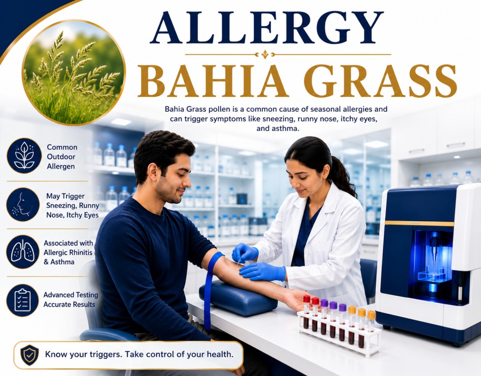 Bahia grass pollen allergy blood test showing specific IgE antibody analysis for grass pollen sensitization, hay fever, allergic rhinitis, and asthma evaluation