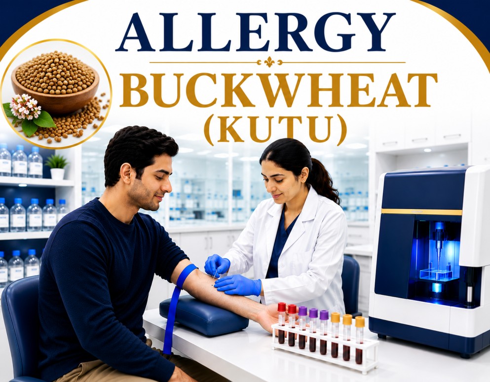 Buckwheat (Kutu) allergy blood test showing specific IgE antibody analysis for food allergy, grain hypersensitivity, and allergic reaction evaluation