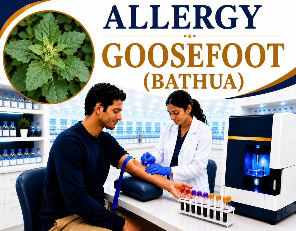 Goosefoot (Bathua) pollen allergy blood test showing specific IgE antibody analysis for weed pollen allergy, hay fever, allergic rhinitis, and asthma evaluation