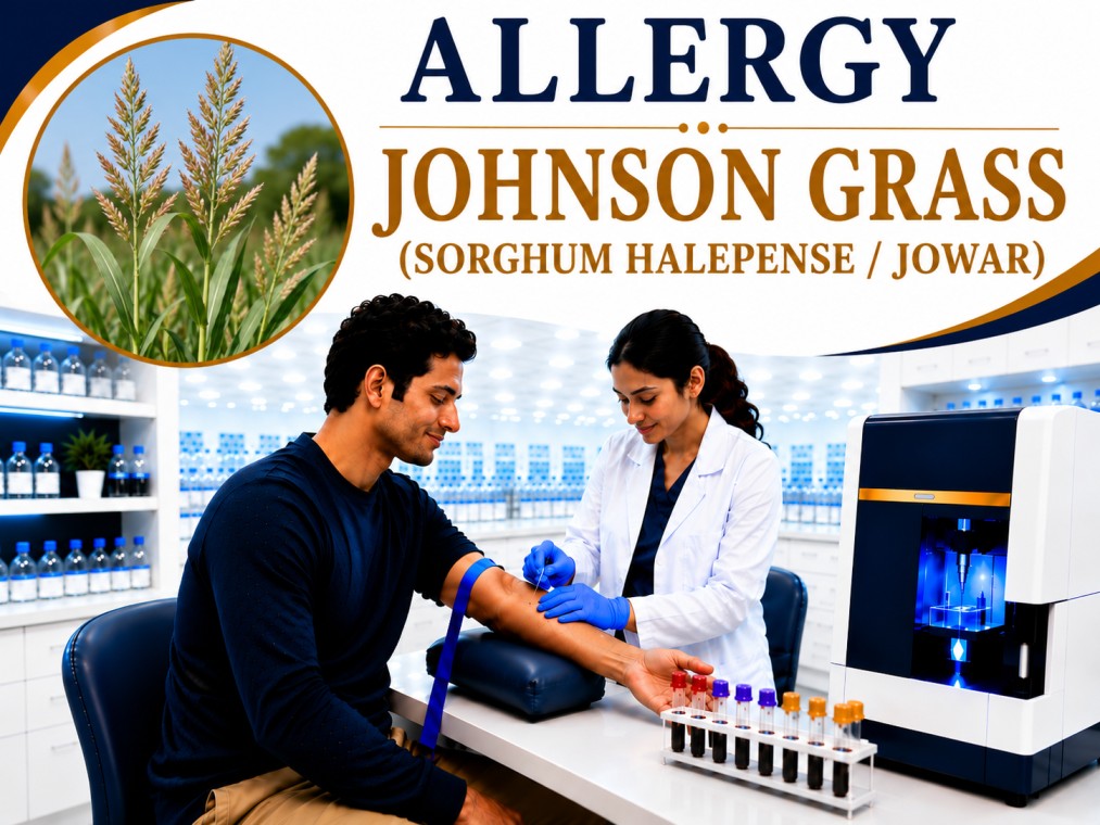 Johnson Grass (Sorghum halepense / Jowar) allergy blood test showing specific IgE antibody analysis for grass pollen allergy, hay fever, allergic rhinitis, and asthma evaluation