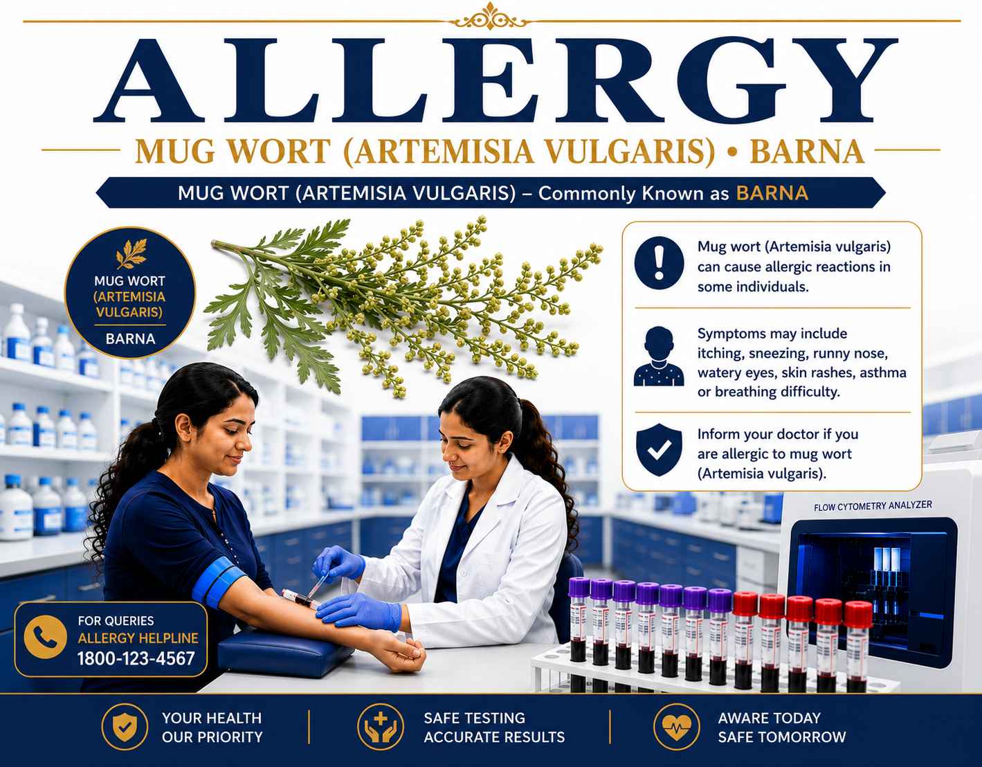 Mugwort (Artemisia vulgaris) Allergy Test blood sample analysis for detecting specific IgE antibodies to mugwort pollen allergens at Focus Diagnostics