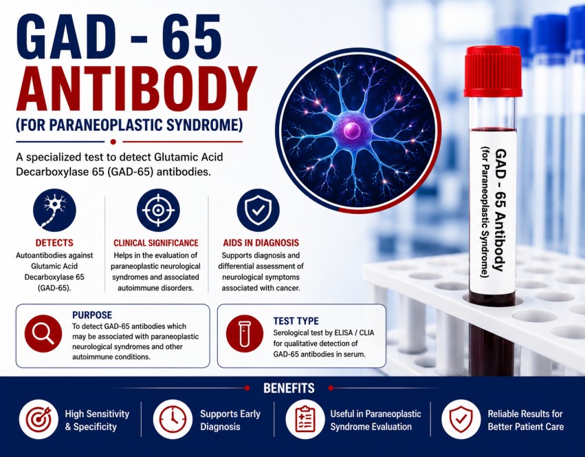 GAD-65 Antibody blood test for diagnosing autoimmune neurological disorders, Stiff Person Syndrome, and paraneoplastic neurological syndromes using a serum sample.