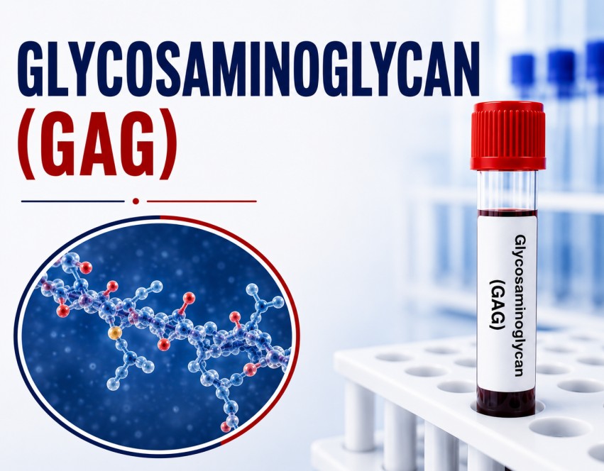 Glycosaminoglycan (GAG) laboratory test for screening mucopolysaccharidosis (MPS) and inherited metabolic disorders using a urine sample.