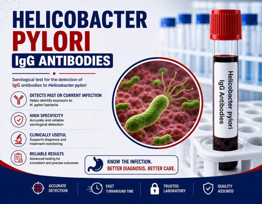Helicobacter pylori IgG Antibodies blood test for evaluating H. pylori exposure associated with gastritis and peptic ulcer disease using a serum sample.