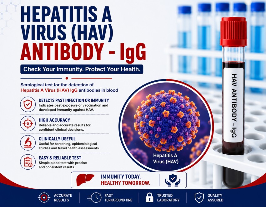 Hepatitis A Virus (HAV) IgG Antibody blood test for assessing immunity after hepatitis A infection or vaccination using a serum sample.