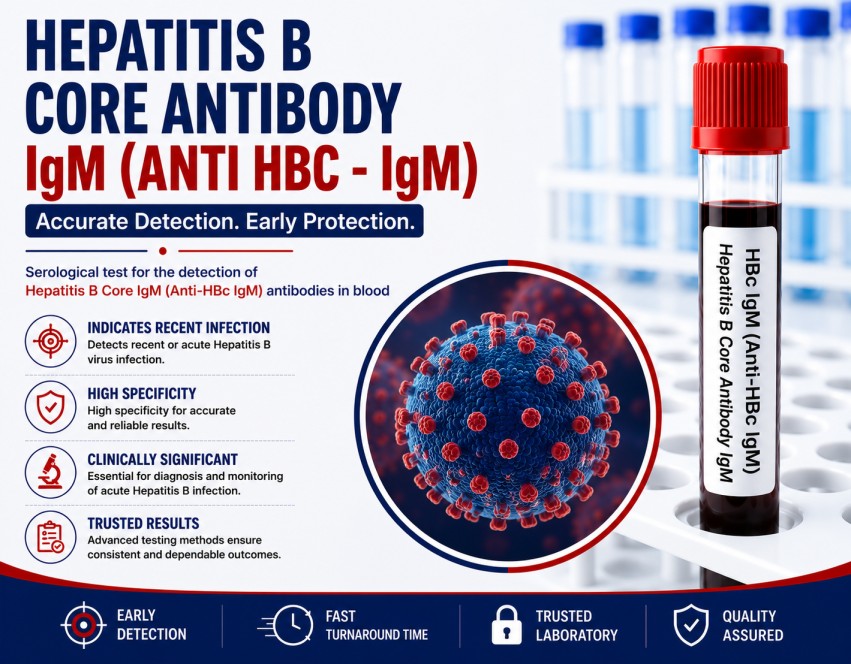 Hepatitis B Core Antibody IgM (Anti-HBc IgM) blood test for diagnosing acute Hepatitis B infection and identifying the HBV window period using a serum sample.