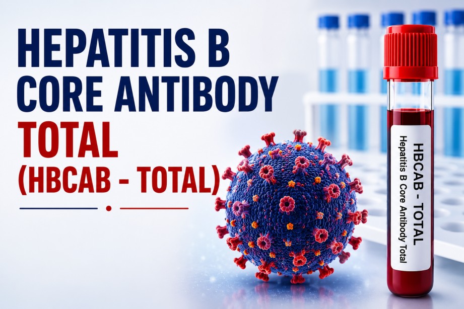 Hepatitis B Core Antibody Total (Total Anti-HBc) blood test for detecting previous or ongoing hepatitis B infection using a serum sample.