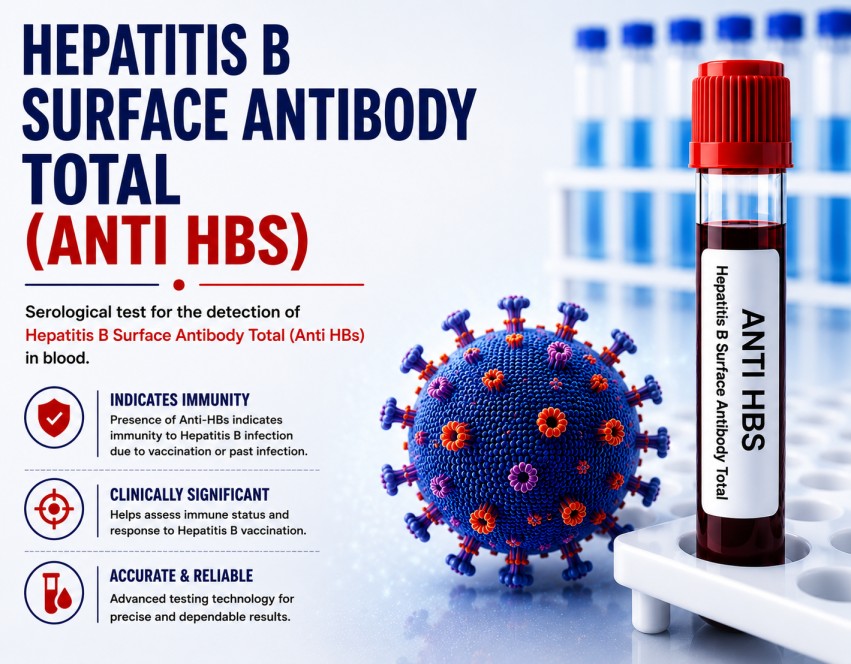 Hepatitis B Surface Antibody Total (Anti-HBs) blood test for assessing immunity after hepatitis B vaccination or recovery from infection using a serum sample.