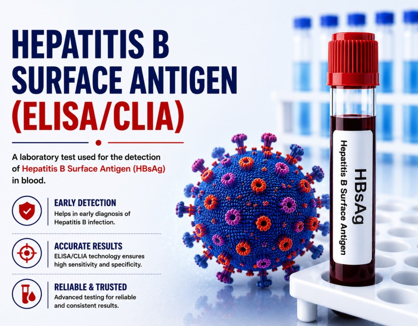 Hepatitis B Surface Antigen (HBsAg) ELISA/CLIA blood test for screening and diagnosing active Hepatitis B virus infection using a serum sample.