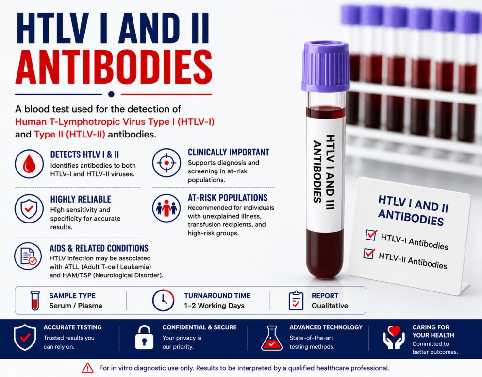 HTLV-I and HTLV-II Antibodies blood test for screening Human T-cell Lymphotropic Virus infection using a serum sample.