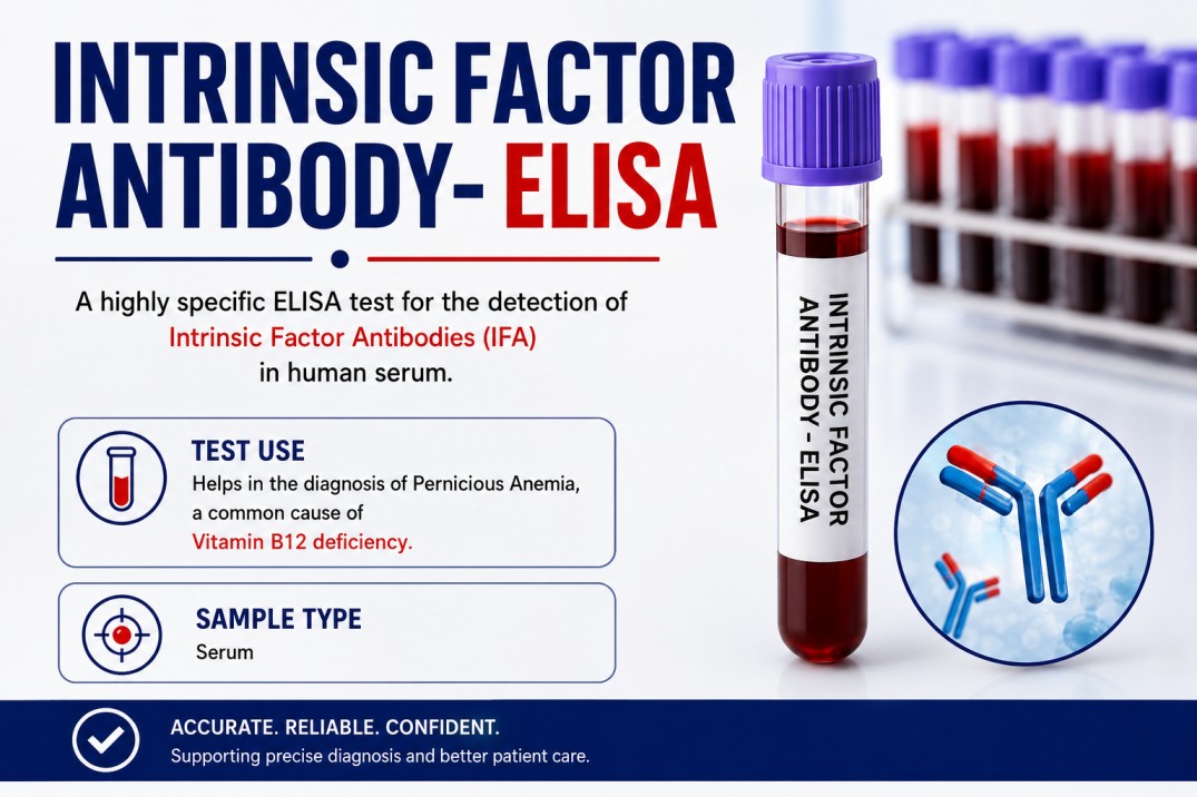 Intrinsic Factor Antibody (ELISA) blood test for diagnosing pernicious anemia and autoimmune vitamin B12 deficiency using a serum sample.
