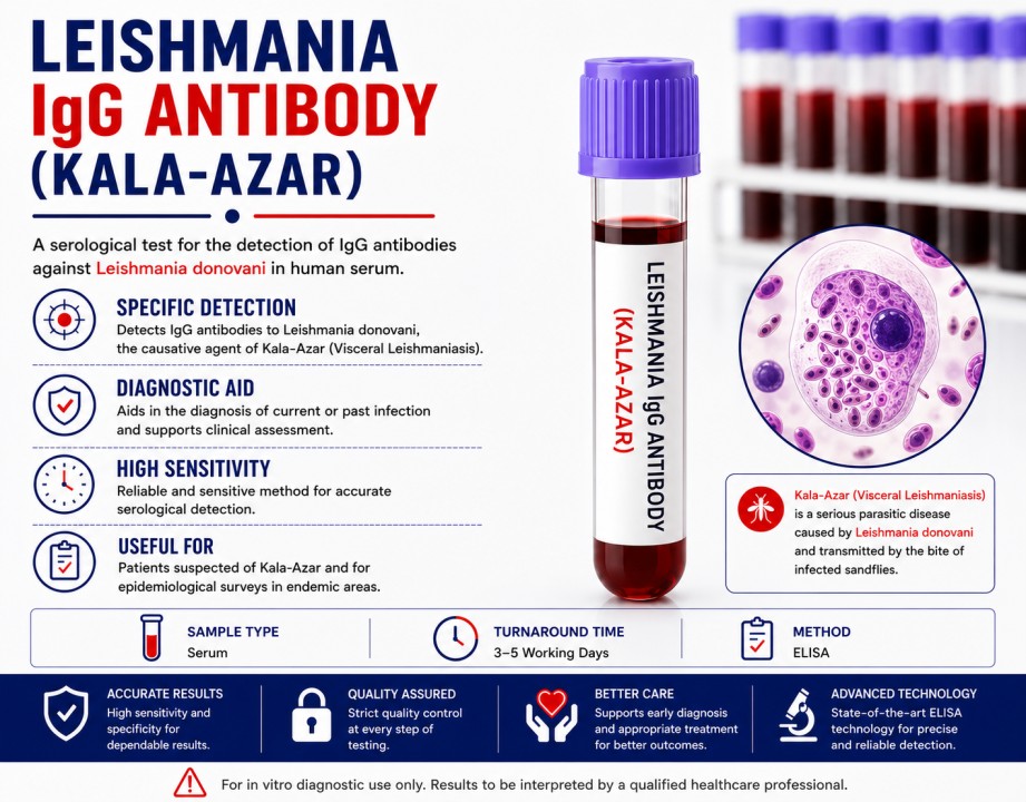 Leishmania IgG Antibody (Kala-Azar) blood test for detecting antibodies associated with visceral leishmaniasis using a serum sample.