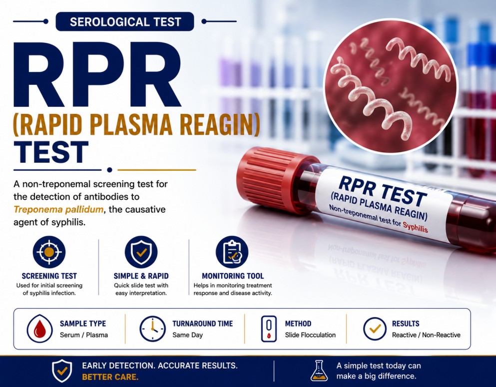 RPR Rapid Plasma Reagin blood test for syphilis screening, quantitative antibody titre measurement and treatment-response monitoring.