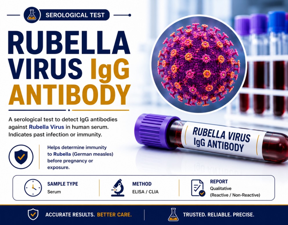 Rubella Virus IgG antibody blood test for assessing immunity from vaccination or past infection during pre-pregnancy and prenatal screening.