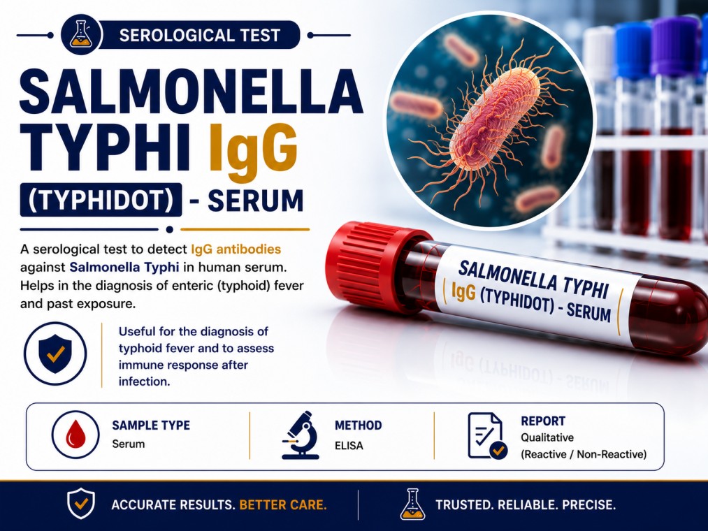 Salmonella Typhi IgG Typhidot serum antibody test for supporting the evaluation of previous exposure or suspected typhoid fever.